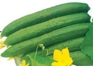 吃三种瓜,探寻三种瓜的独特魅力