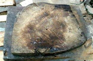 油蚬菜板怎么看老料好不好,一板在手，品质立现