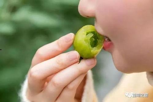 采摘橙子的抖音网红,抖音网红带你体验采摘乐趣！