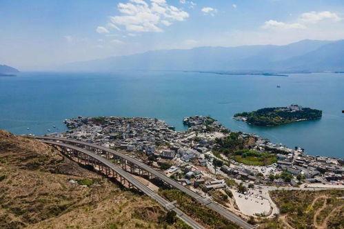 网红兔兔多高多重,揭秘其身高体重之谜