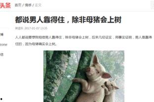 头条怎么写搞笑领域,笑点满满！揭秘头条搞笑领域热门话题背后的趣味故事