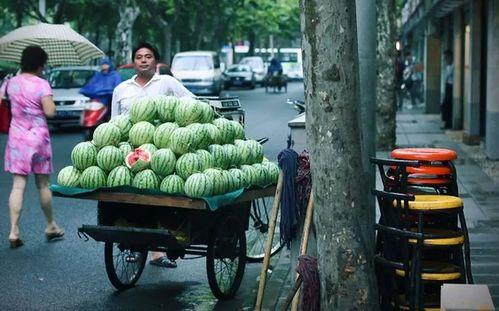 亭子下的吃瓜视频,揭秘吃瓜群众的欢乐时光