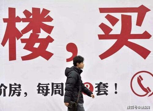 晚安郑州爆料视频大全集,揭秘城市夜生活魅力瞬间