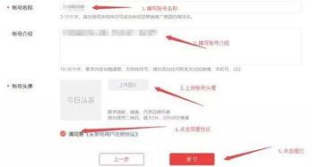 今日头条号的登录,轻松掌握账号管理技巧”