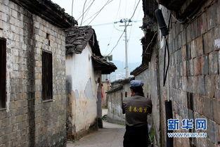 连城新泉镇头条,聚焦发展新动态，共绘乡村振兴新画卷