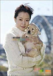 明星宠物照片大全,从汪星人到喵星人，萌宠风采尽收眼底