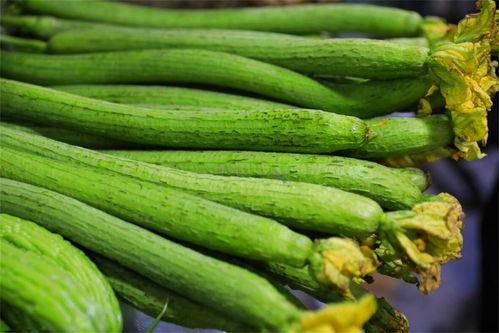 蛐蟮吃瓜,探寻昆虫世界的奇妙食性