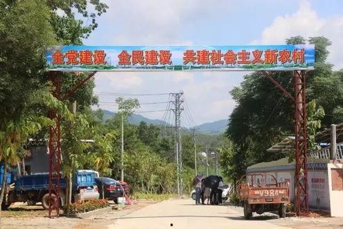 平顺县卡口镇新闻头条,聚焦乡村振兴，共绘美好家园新画卷