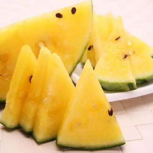 瓜尖是哪里吃的,探寻各地独特的瓜尖风味