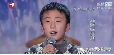 赵美容明星,璀璨星途，美丽绽放