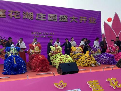 今日头条信宜莲花湖,自然风光与人文历史的美丽交融