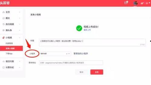 今日头条如何开通小程序,轻松开启您的个性化内容平台之旅