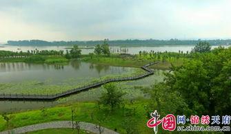 网红湿地公园怎么样去,自然之美与都市绿洲的完美邂逅