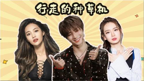 明星种草手机图片,潮流科技新宠盘点